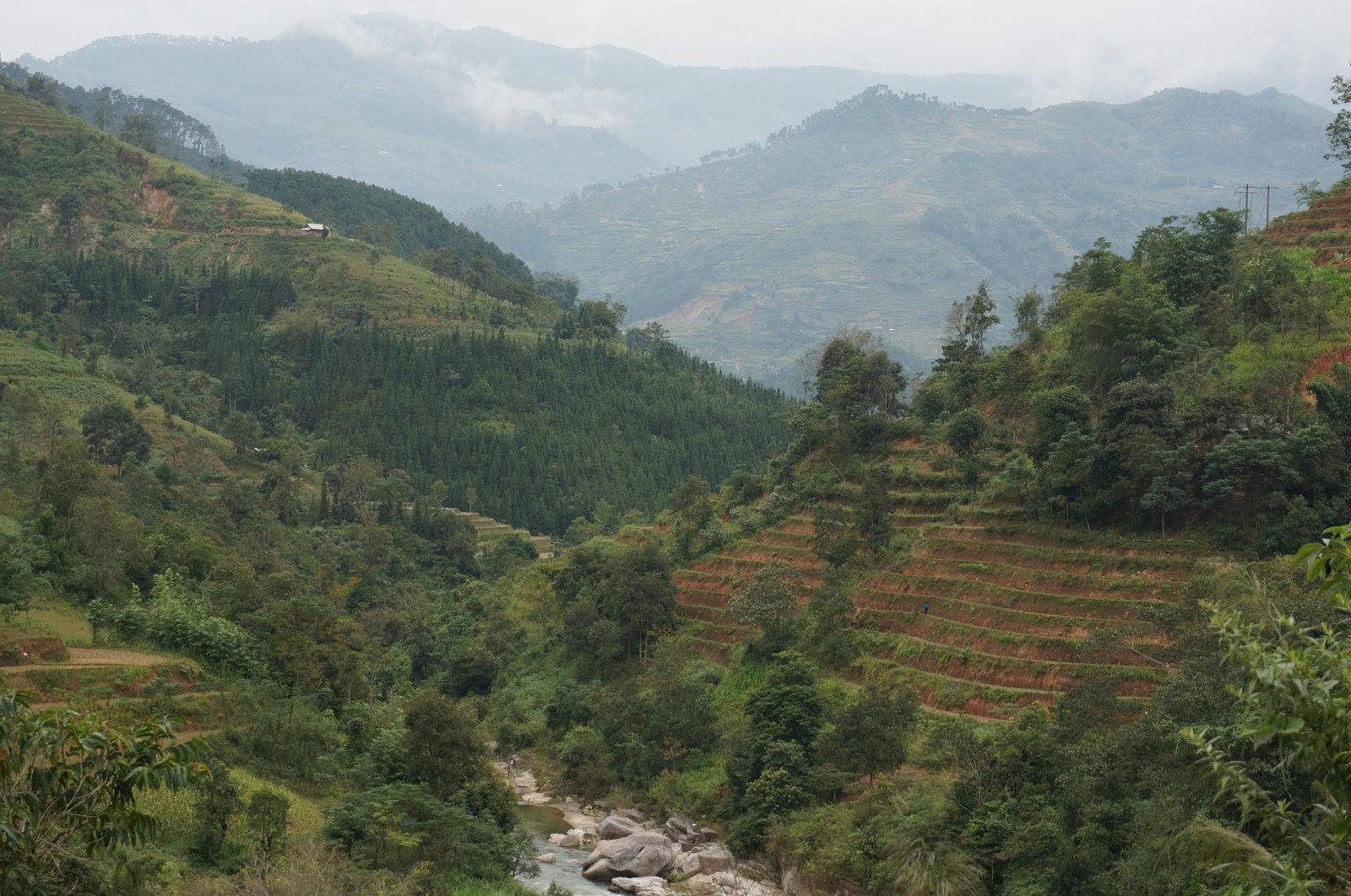 Descubriendo la Ruta en Bicicleta Hoang Su Phi: El Corazón Dorado del Norte de Vietnam